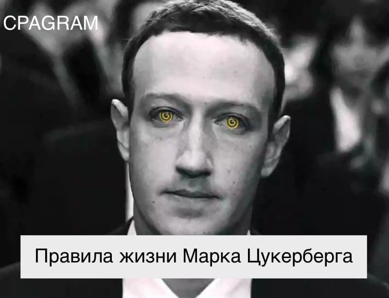 Марка жизни. Цукерберг украл идею. Марк Цукерберг украл идею. Эд марки в молодости.