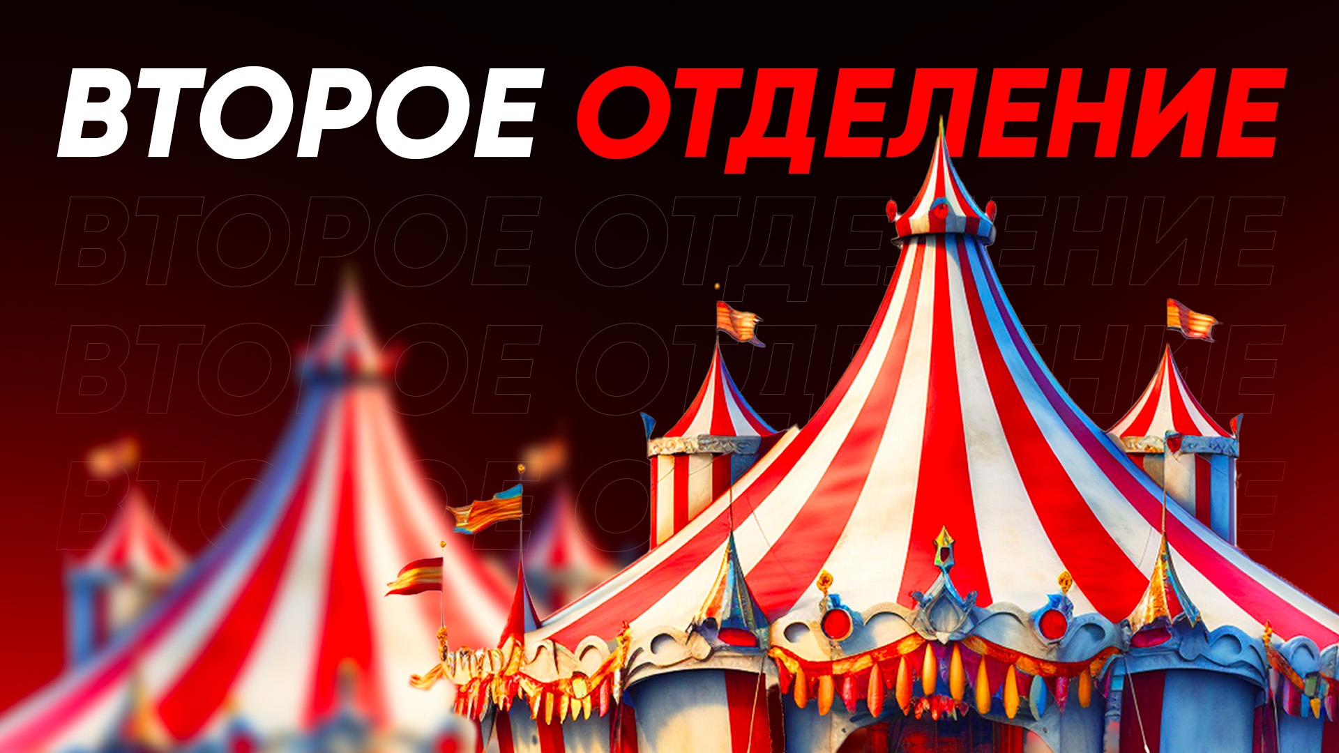 Афера 2023 года: Сплит в юбке и крупные суммы хищений, которые попытались прикрыть, обвинив WWApps
