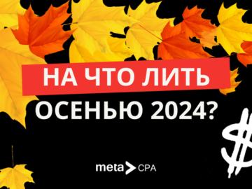 На что лить осенью 2024?