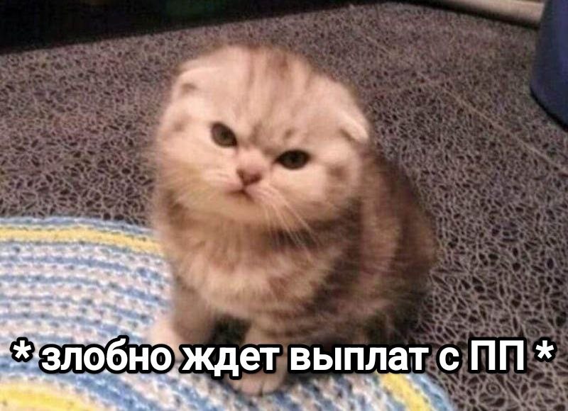 Партнерка не платит. Что делать вебмастерам
